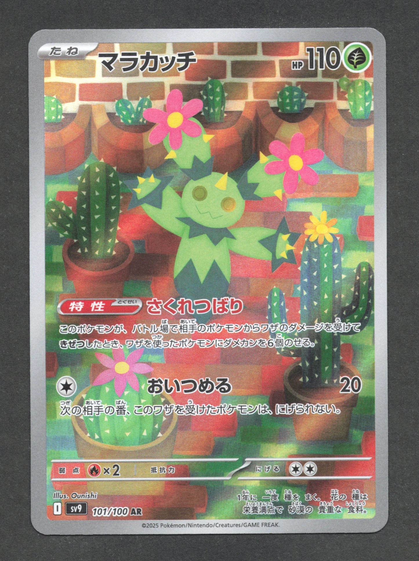 101/100 Maracachi AR JP - Battle Partners