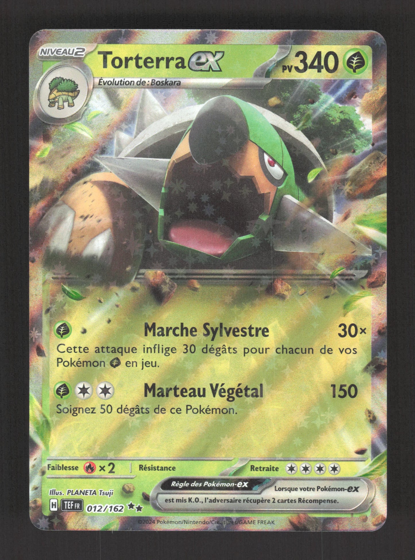 012/162 Torterra EX - Forces Temporelles