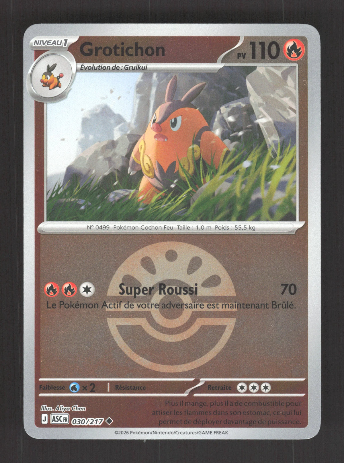 030/217 Grotichon POKEBALL - Héros Transcendants