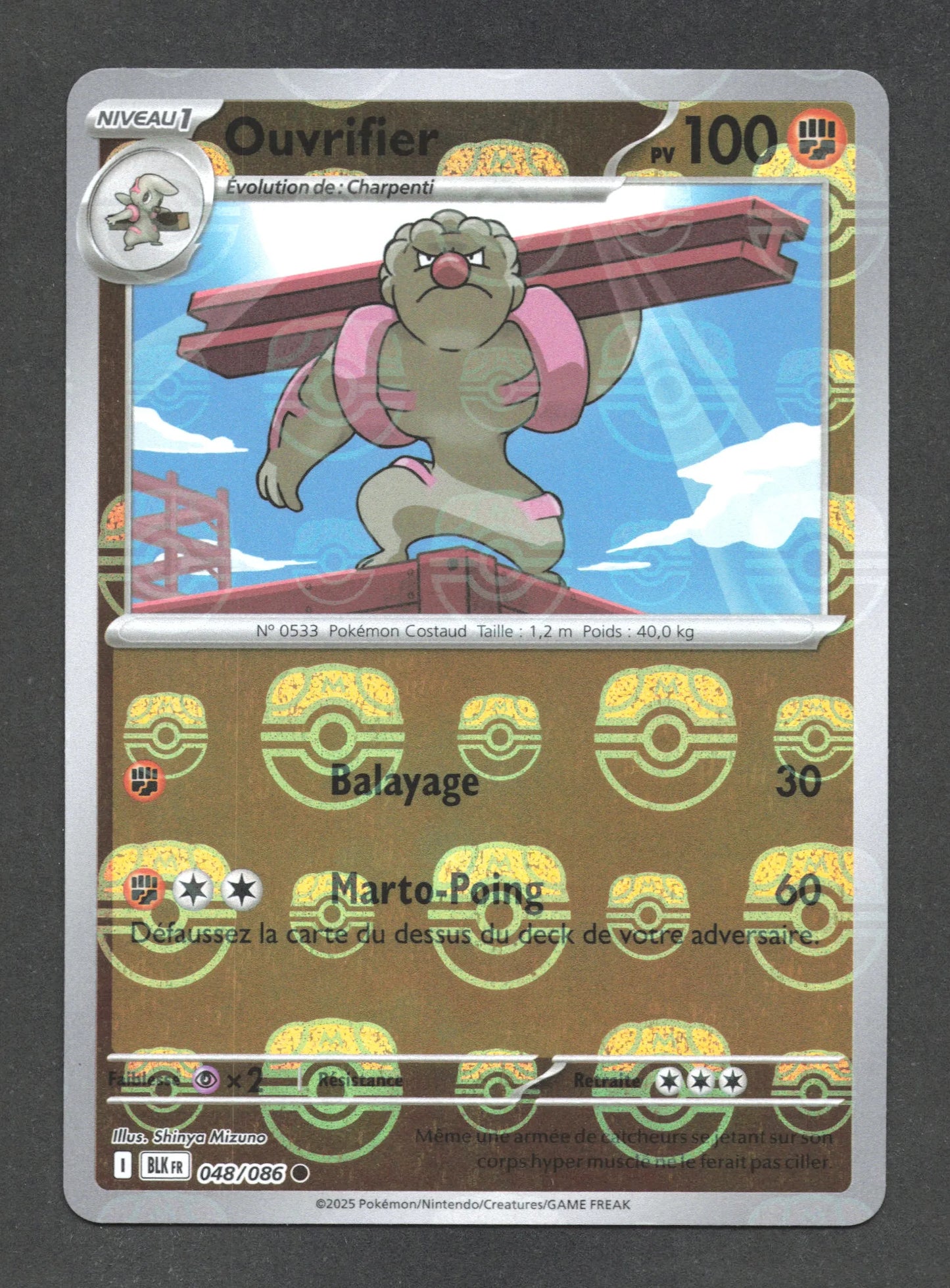 048/086 Ouvrifier MASTERBALL - Foudre Noire - Masterball