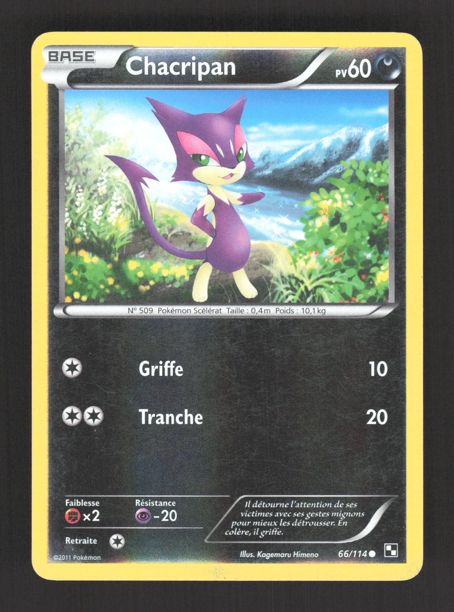 66/114 Chacripan REVERSE - Noir & Blanc
