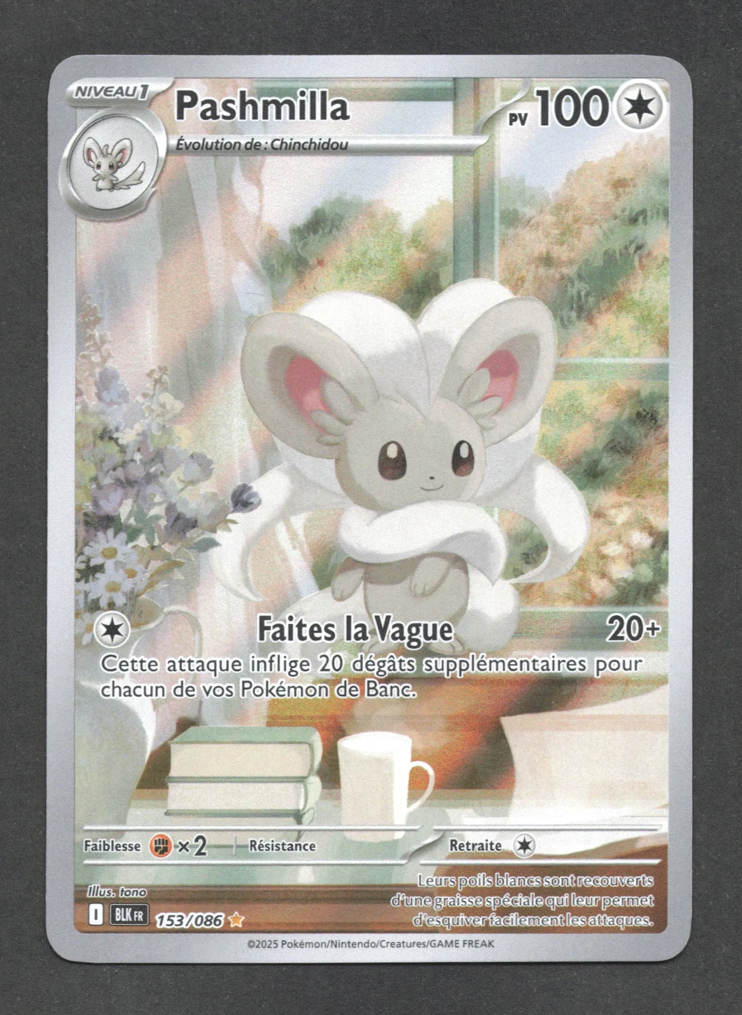 153/086 Pashmilla AR - Foudre Noire