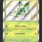 SVP076 Poussacha SHINY - Promo SV