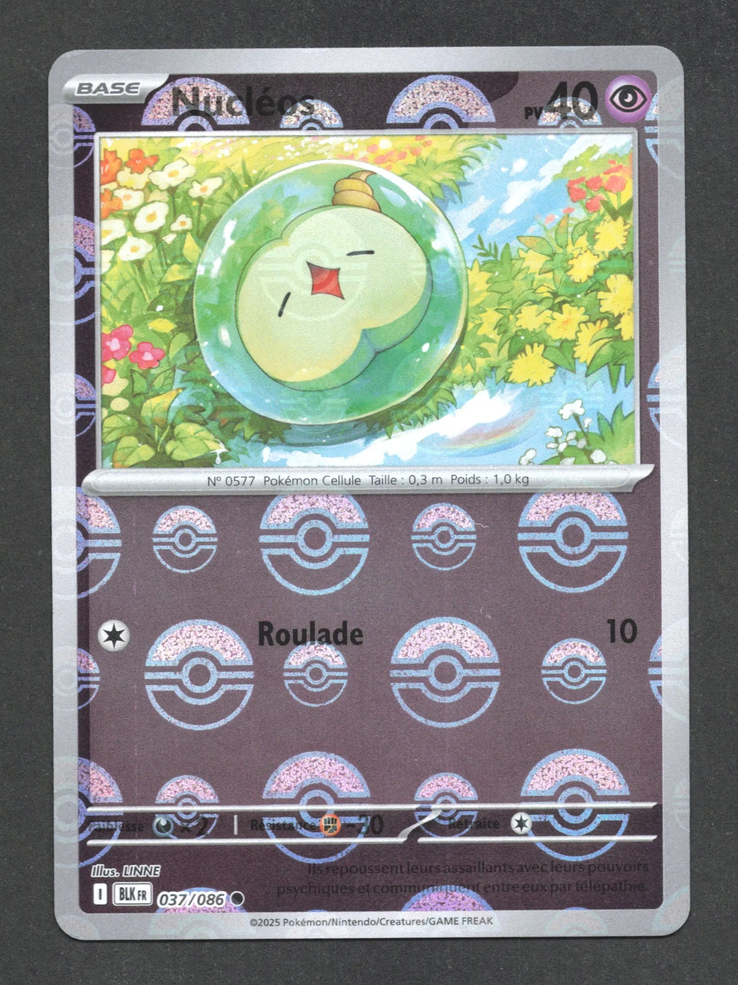 037/086 Nucleos POKEBALL - Foudre Noire - Pokeball