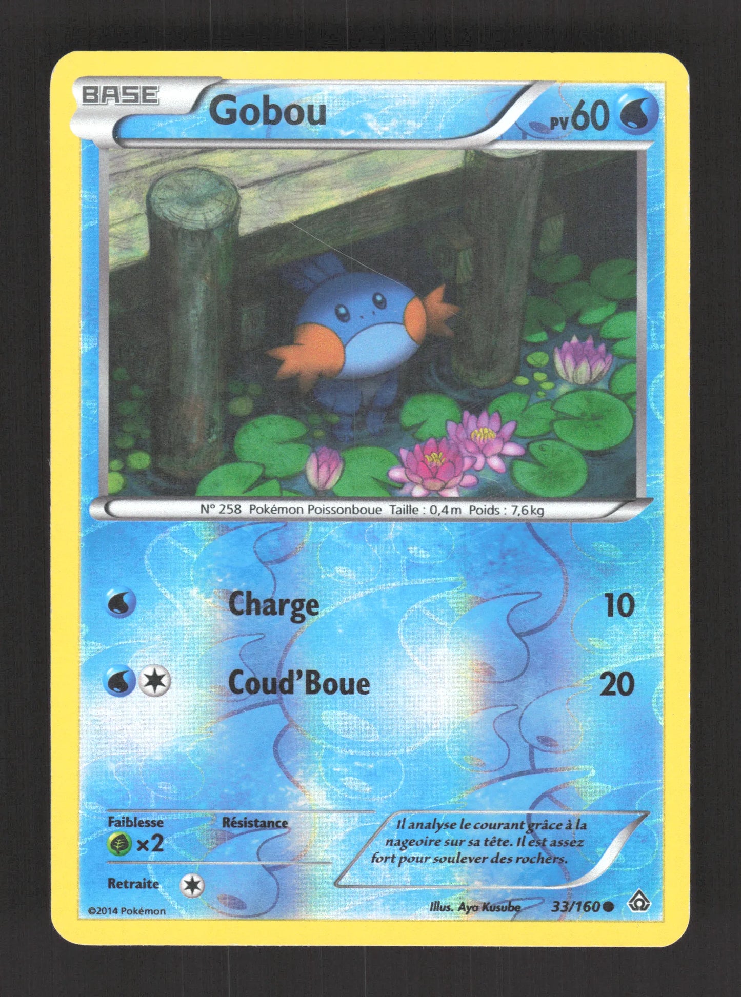33/160 Gobou REVERSE - Primo-Choc