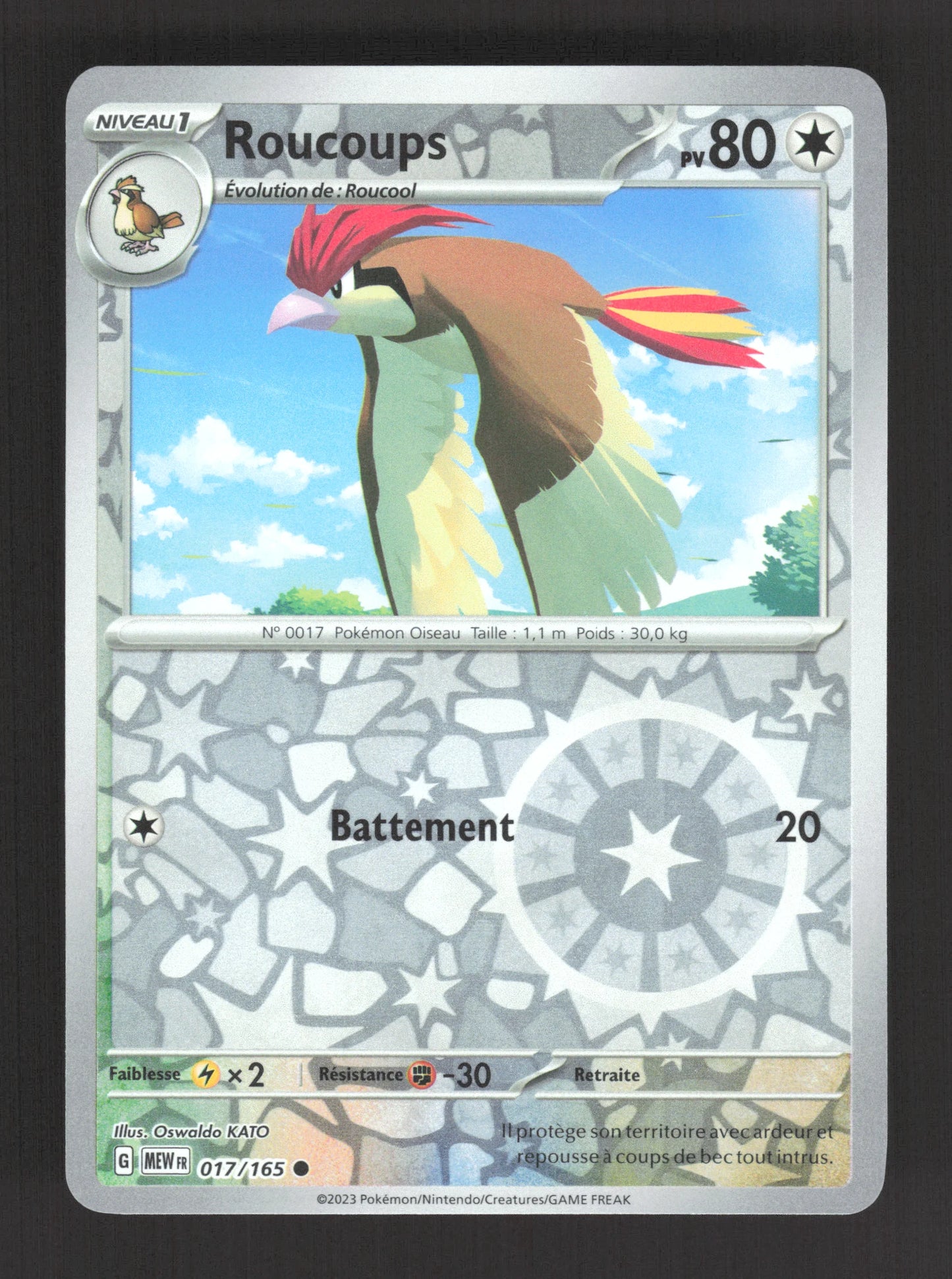 017/165 Roucoups REVERSE - 151