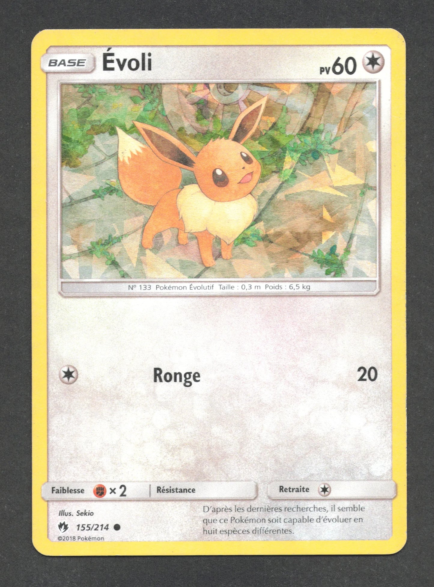155/214 Evoli HOLO - Tonnerre Perdu