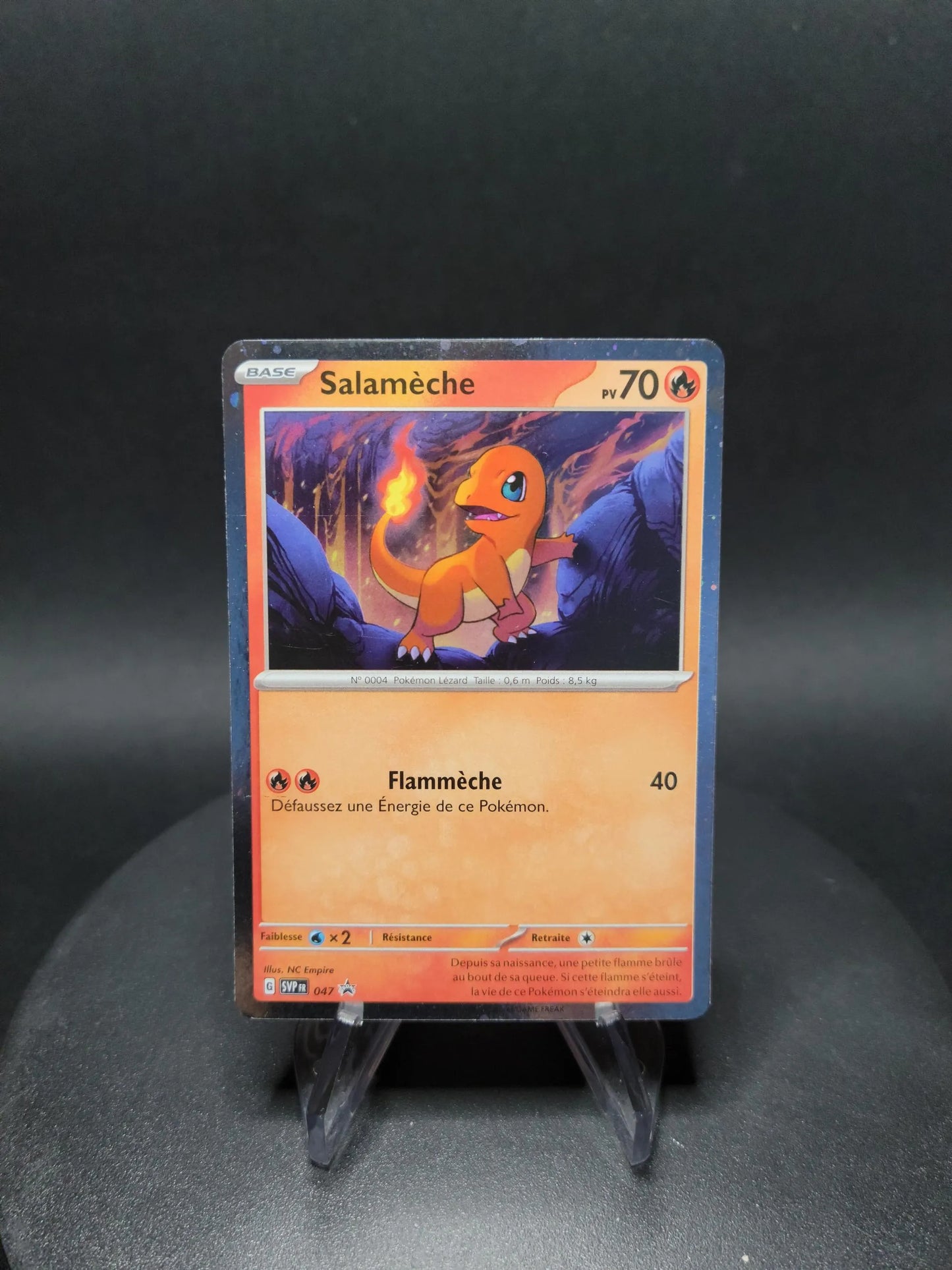 SVP047 Salameche HOLO - Promo SV