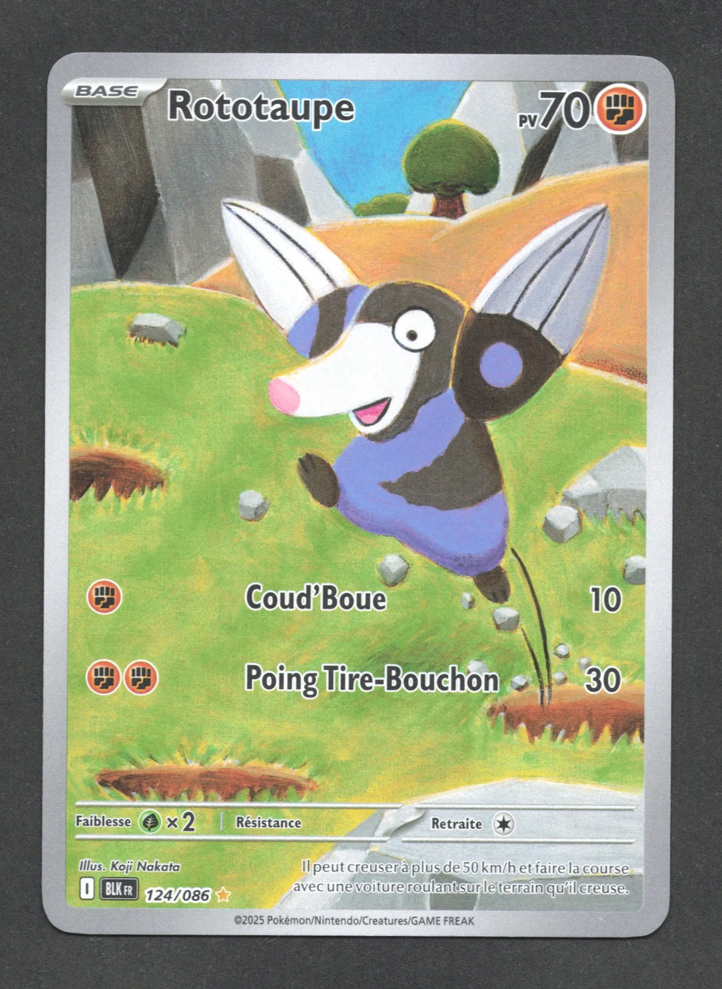 124/086 Rototaupe AR - Foudre Noire