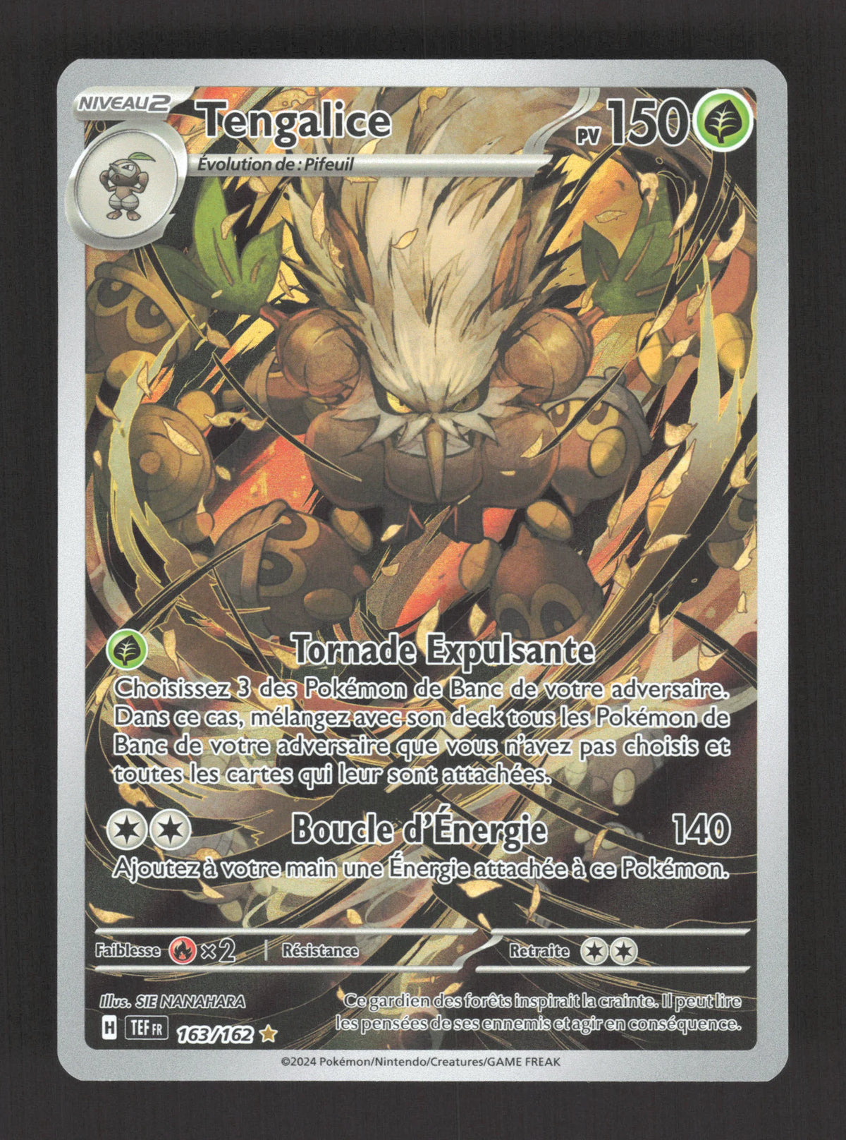 163/162 Tengalice AR - Forces Temporelles