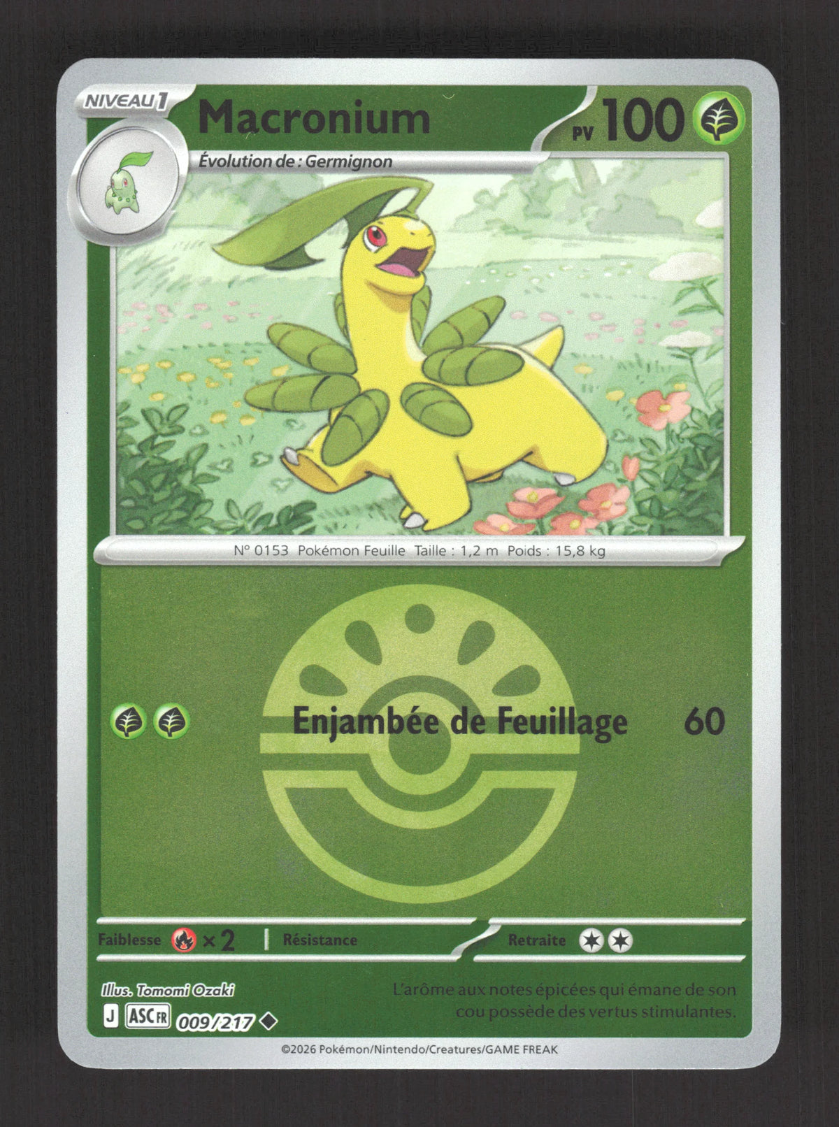 009/217 Macronium POKEBALL - Héros Transcendants