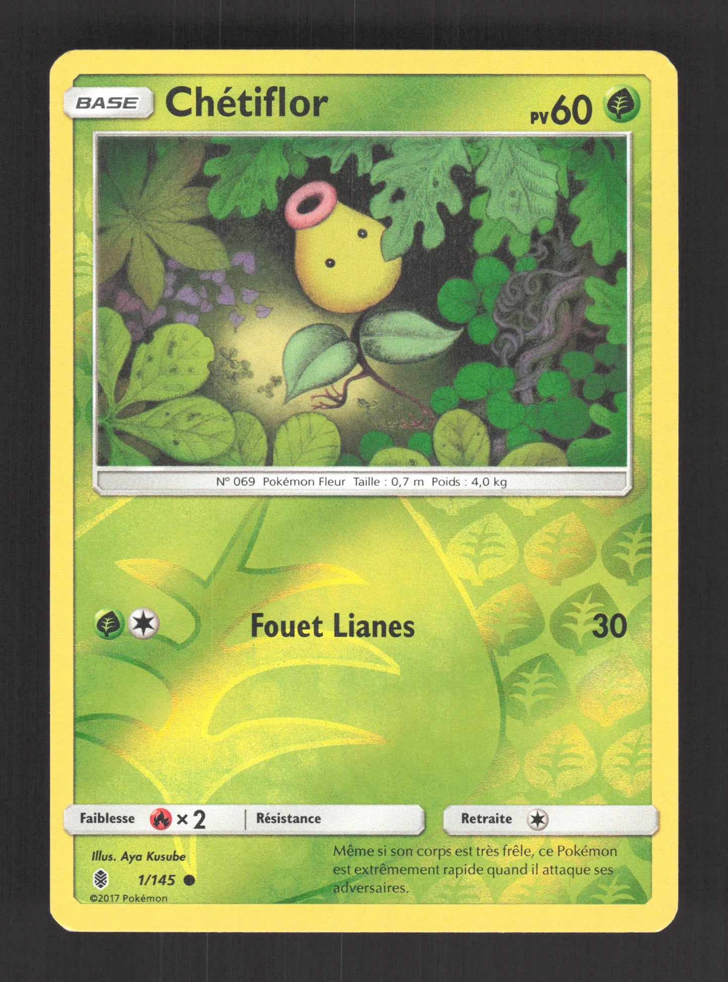 1/145 Chetiflor REVERSE - Gardiens Ascendants