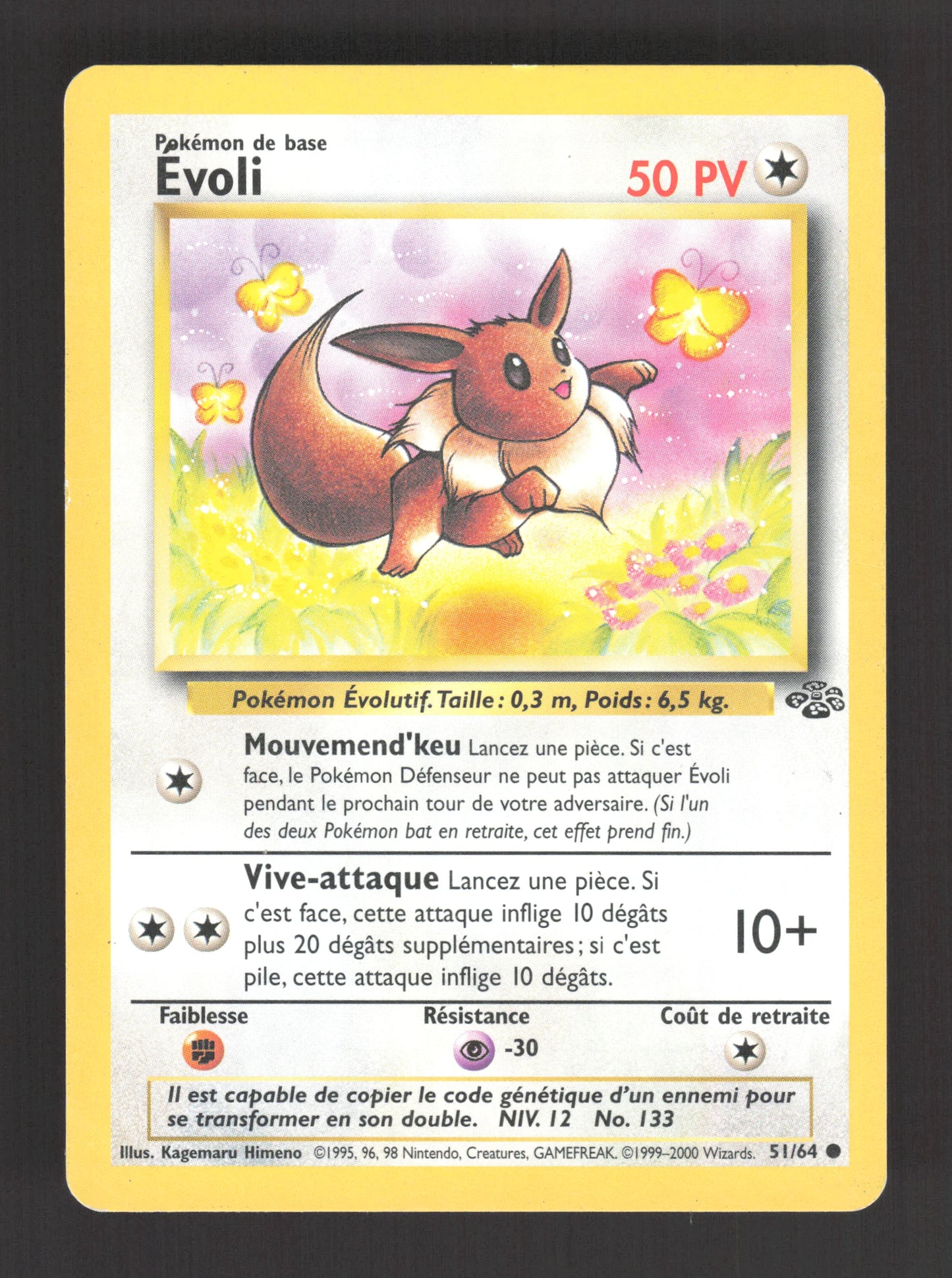 51/64 Evoli CO - Jungle