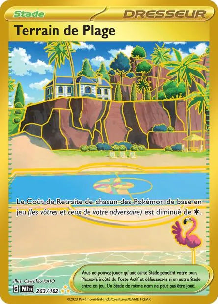263/182 Terrain de Plage DRESSEUR - Faille Paradoxe