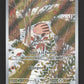 165/159 Marcacrin AR - Aventures Ensemble