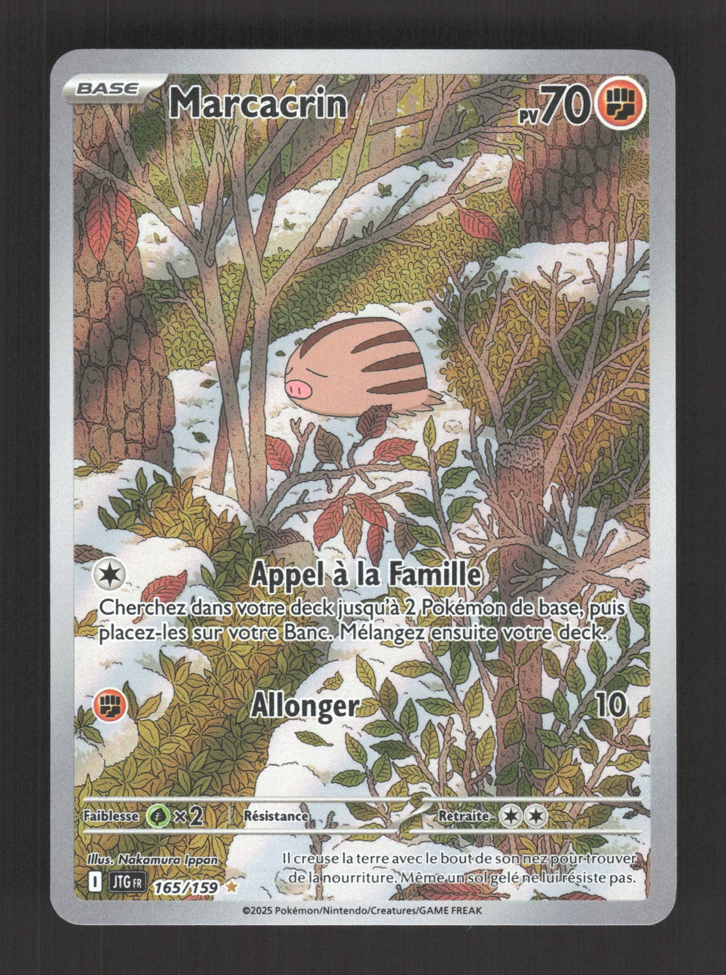 165/159 Marcacrin AR - Aventures Ensemble