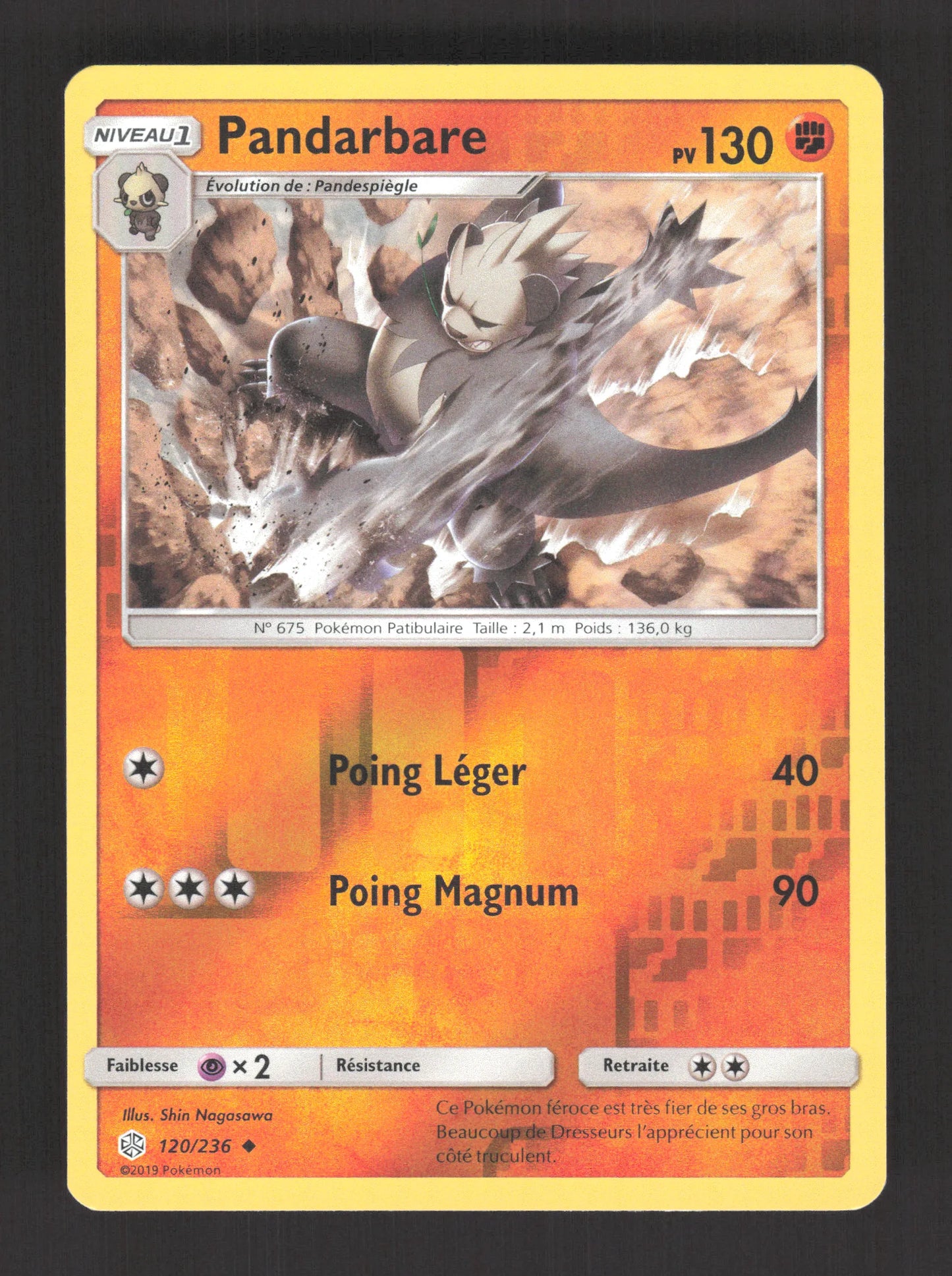 120/236 Pandarbare REVERSE - Éclipse Cosmique