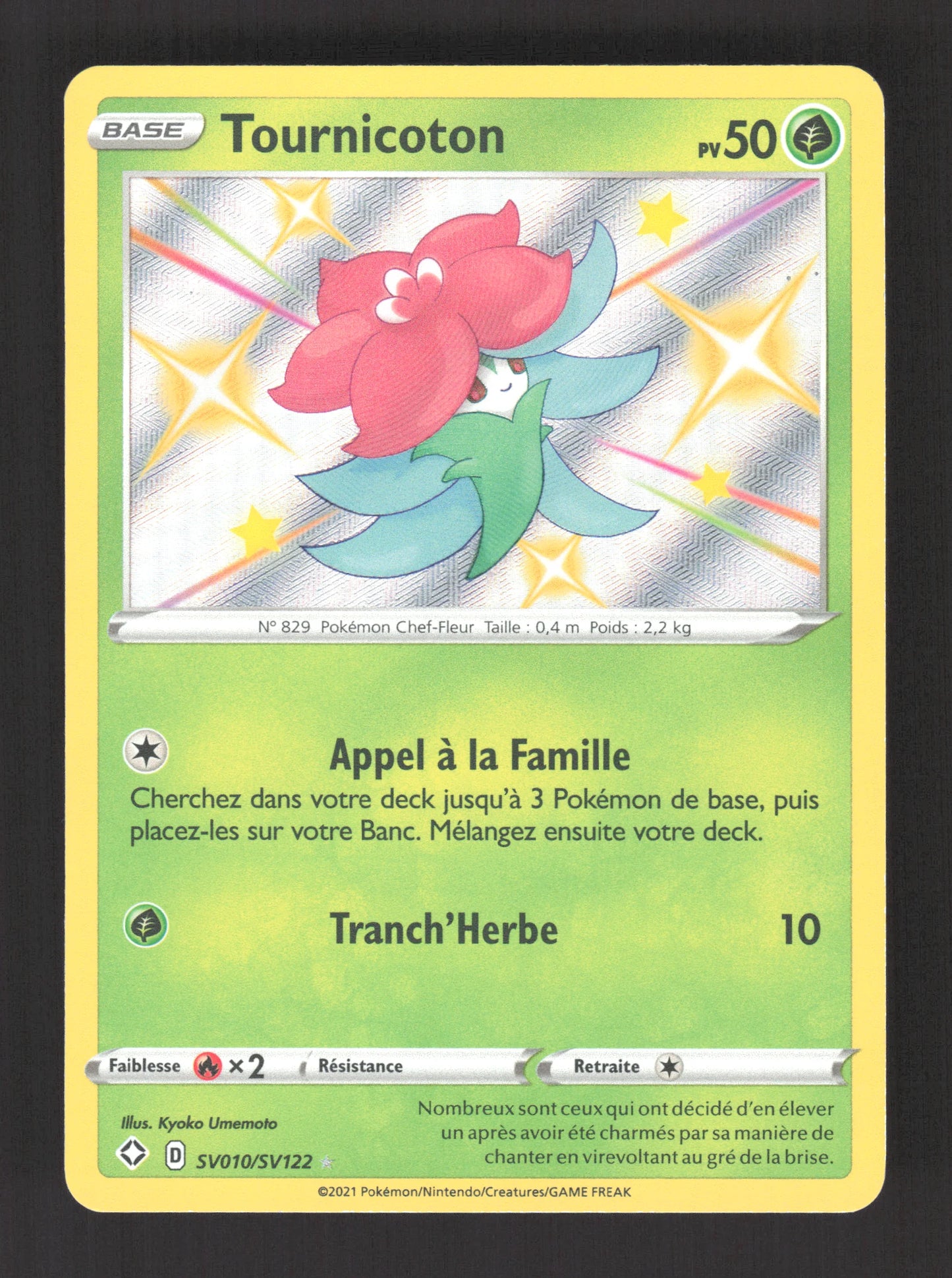 SV010/SV122 Tournicoton SHINY - Destinées Radieuses