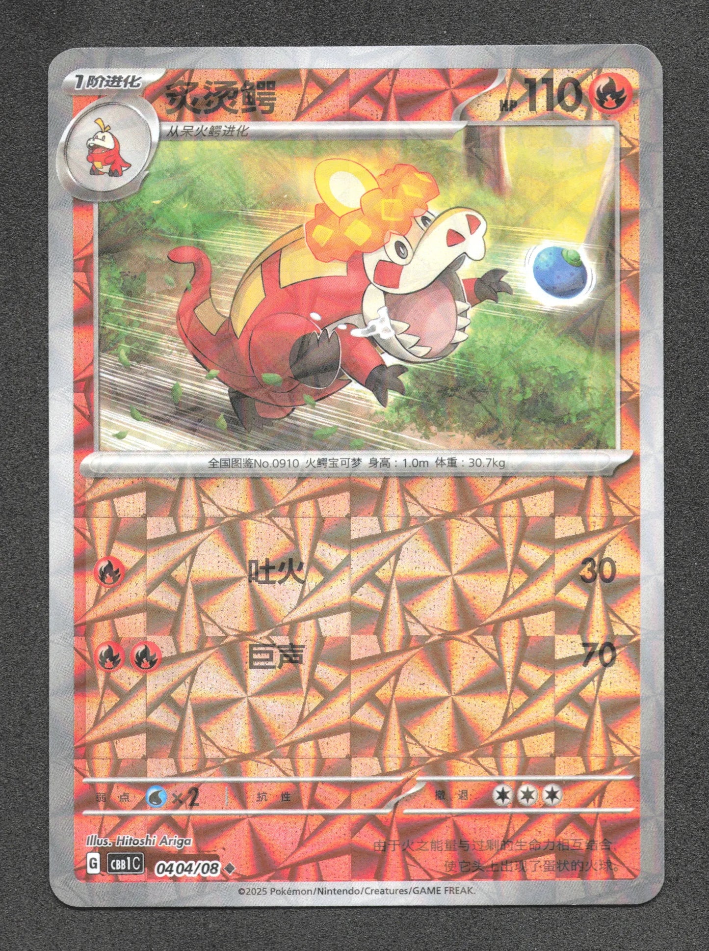 0404/08 Crocogril REVERSE CN - Chinois