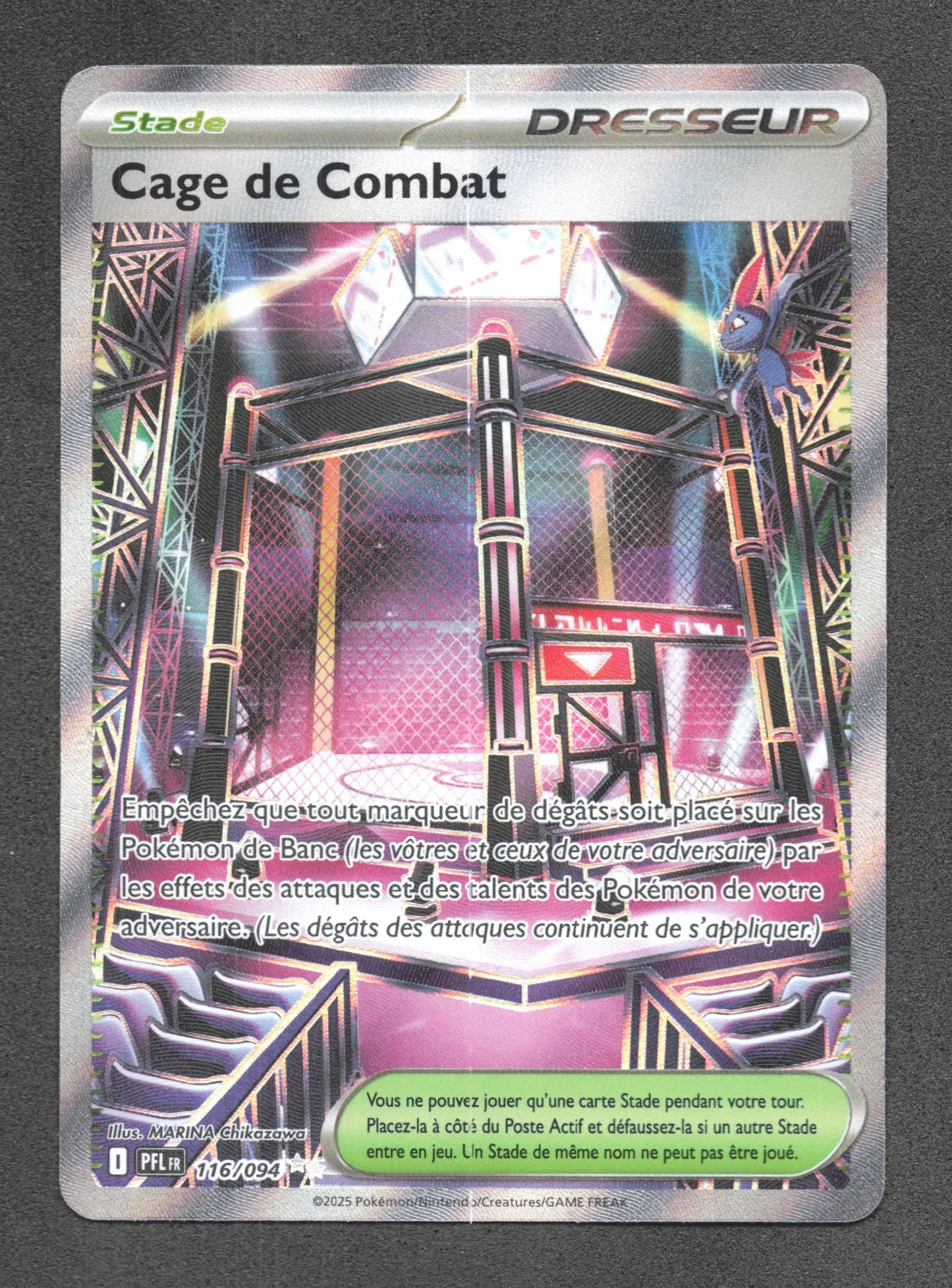 116/094 Cage de Combat DRESSEUR - Flammes Fantasmagoriques