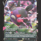 095/172 Morpeko V - Stars Étincelantes