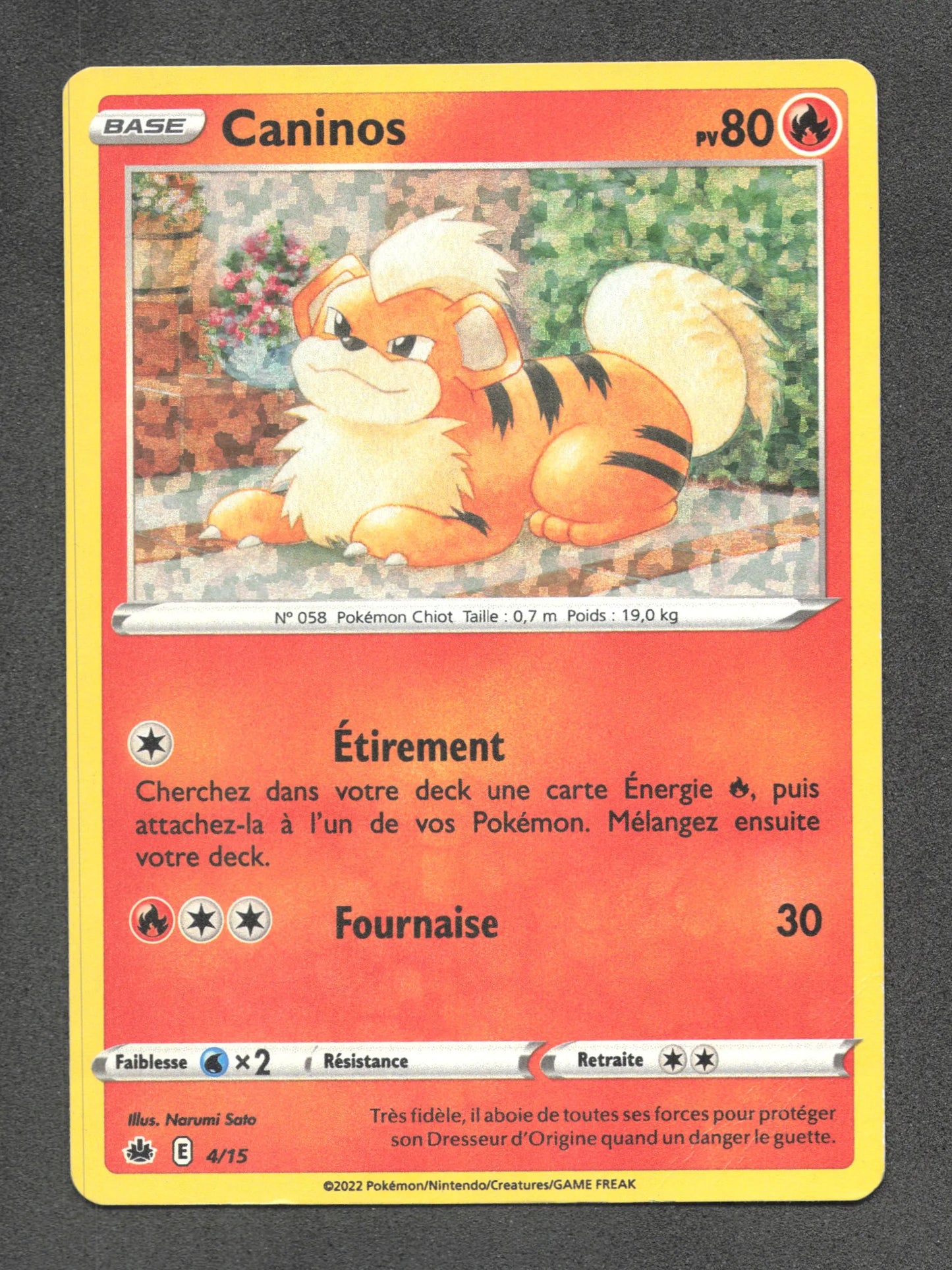 4/15 Caninos HOLO - McDonald's 2022