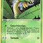 27/101 Tropius REVERSE - Légendes Oubliées