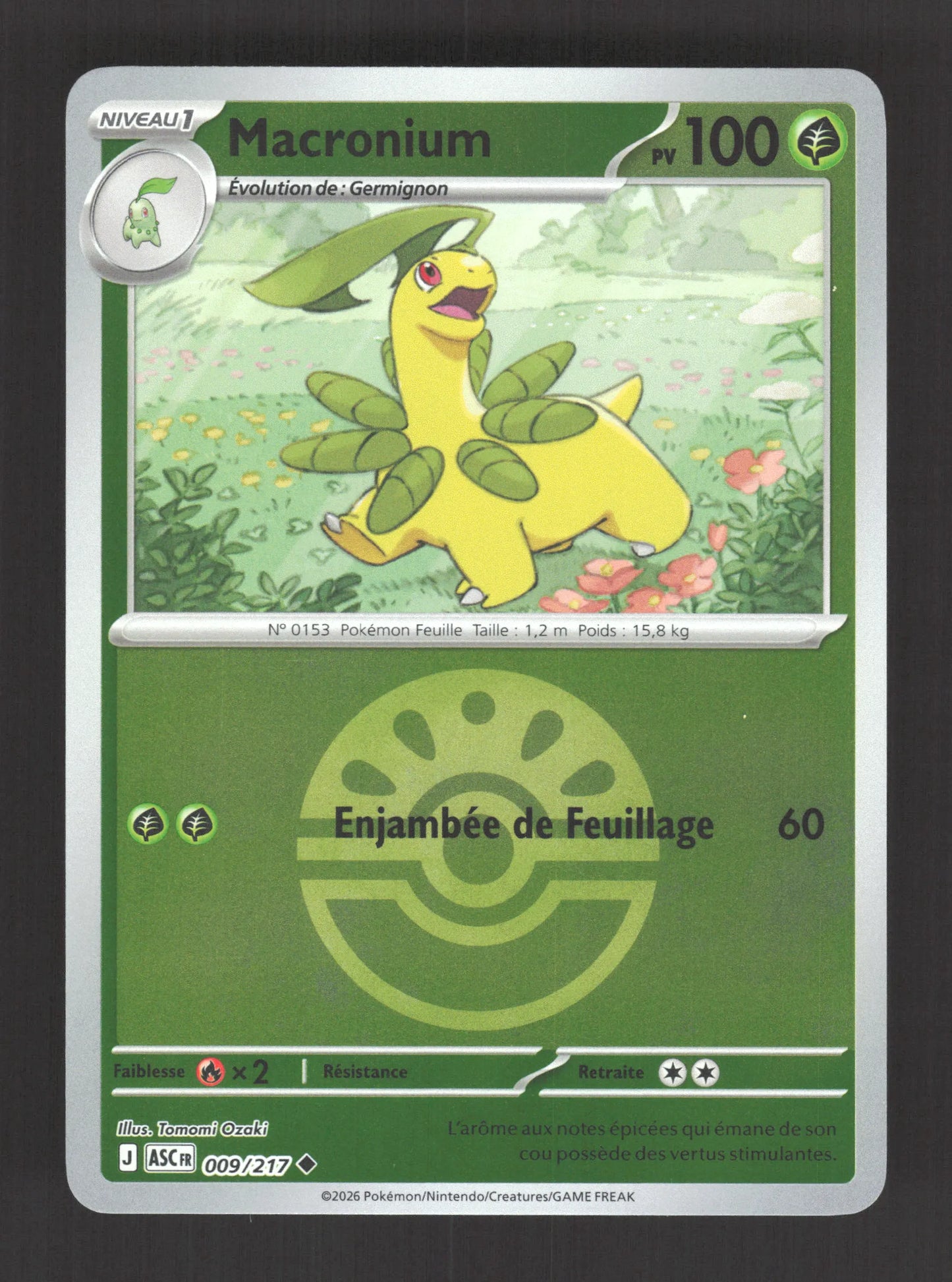 009/217 Macronium POKEBALL - Héros Transcendants