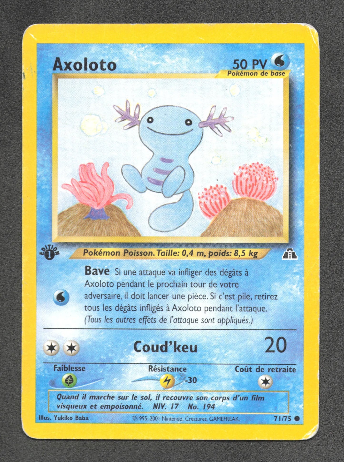 71/75 Axoloto CO ED1 - Neo Discovery
