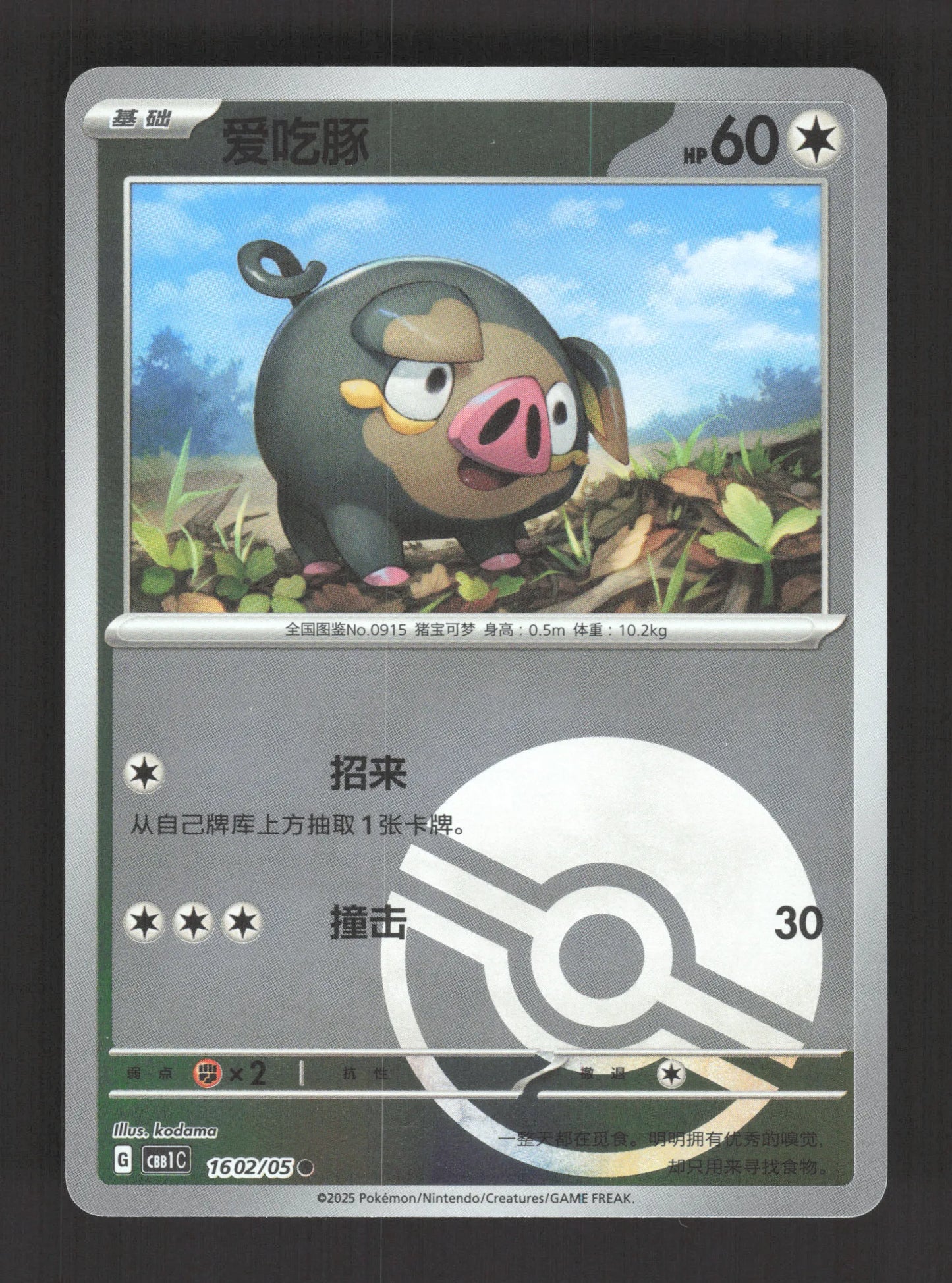 1602/05 Gourmelet POKEBALL CN - Chinois