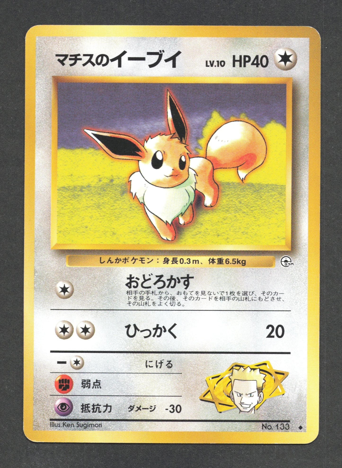 133A Evoli UNCO JP - Leaders' Stadium