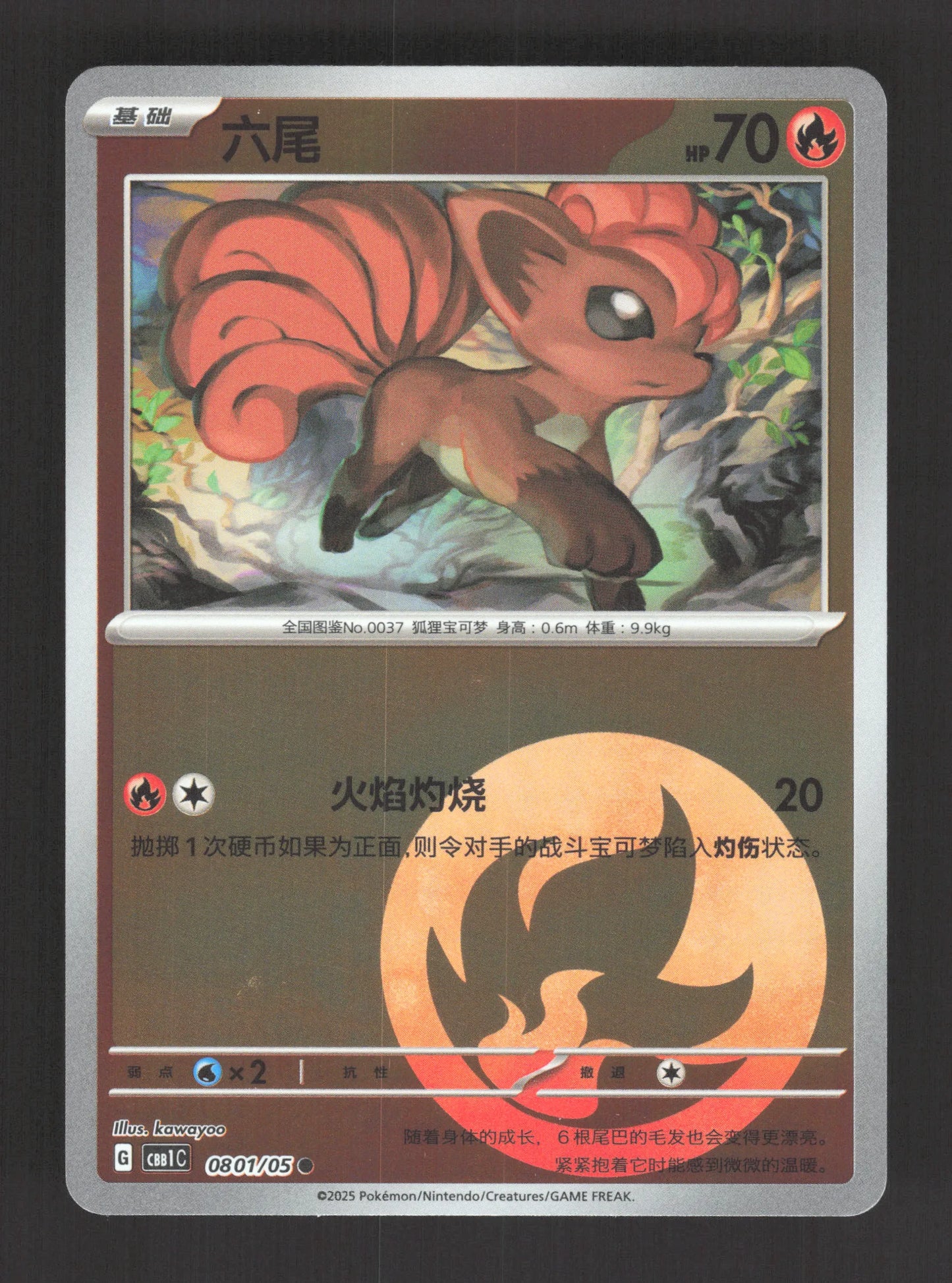 0801/05 Goupix REVERSE ENERGIE CN - Chinois