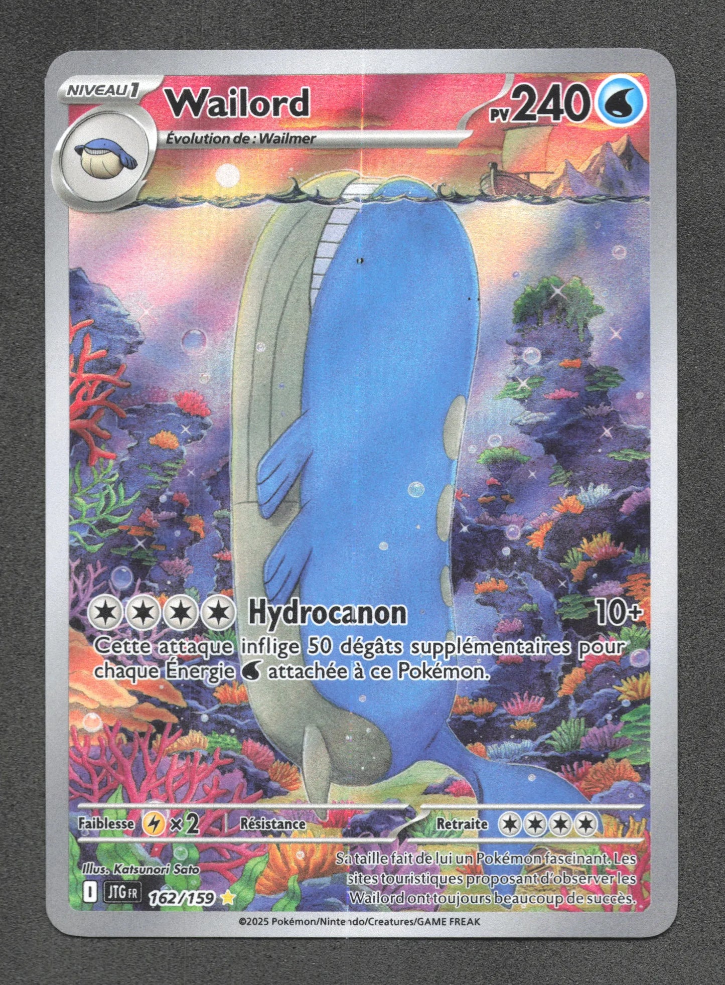 162/159 Wailord AR - Aventures Ensemble