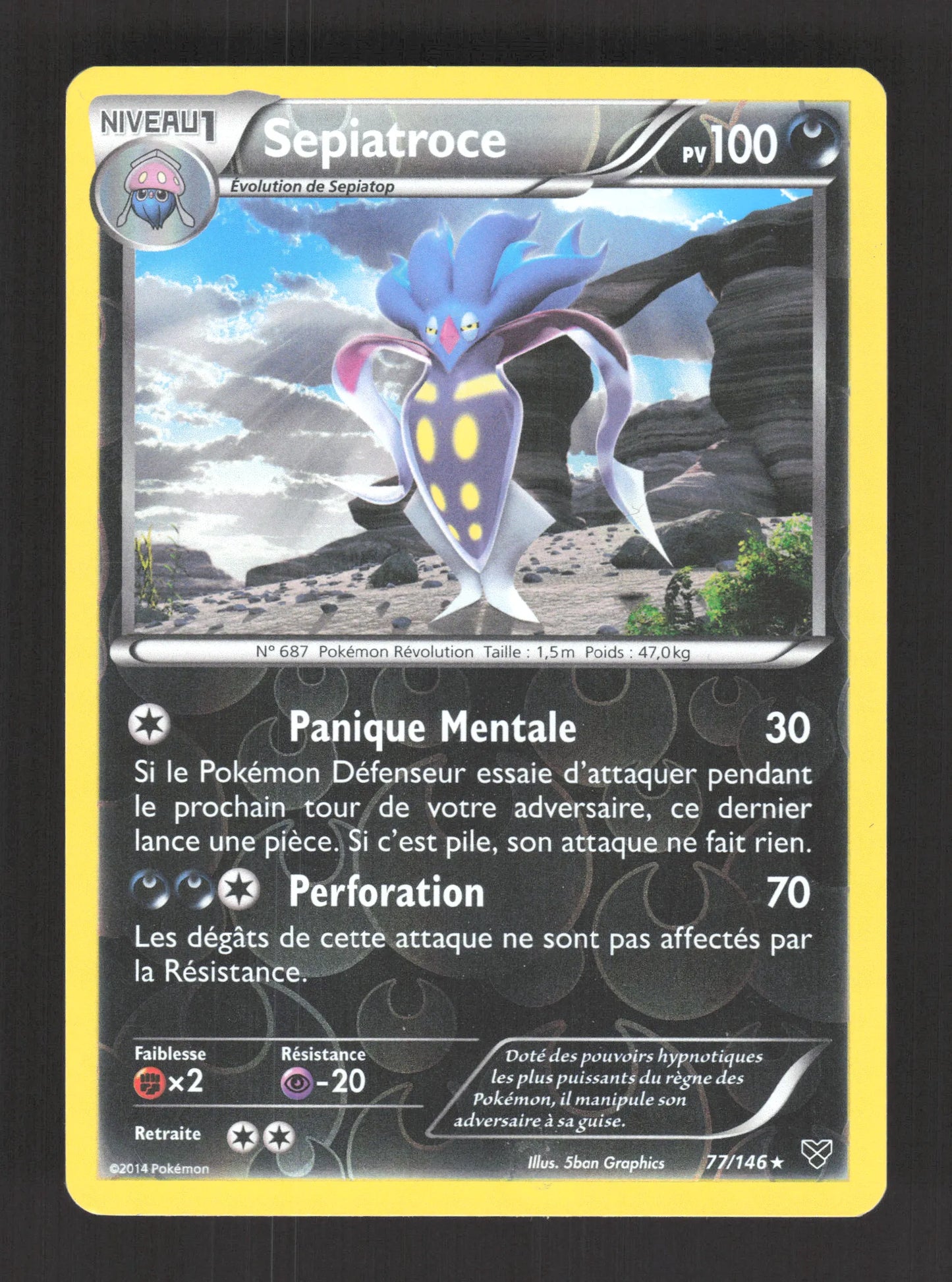77/146 Sepiatroce REVERSE - XY
