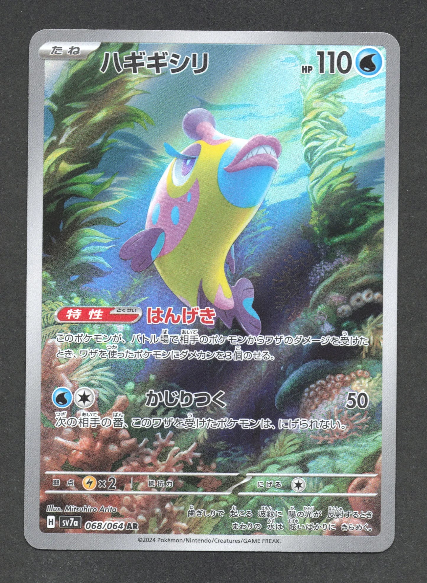 068/064 Denticrisse AR JP - Paradise Dragona