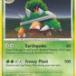 30/100 Torterra RARE - Aube Majestueuse
