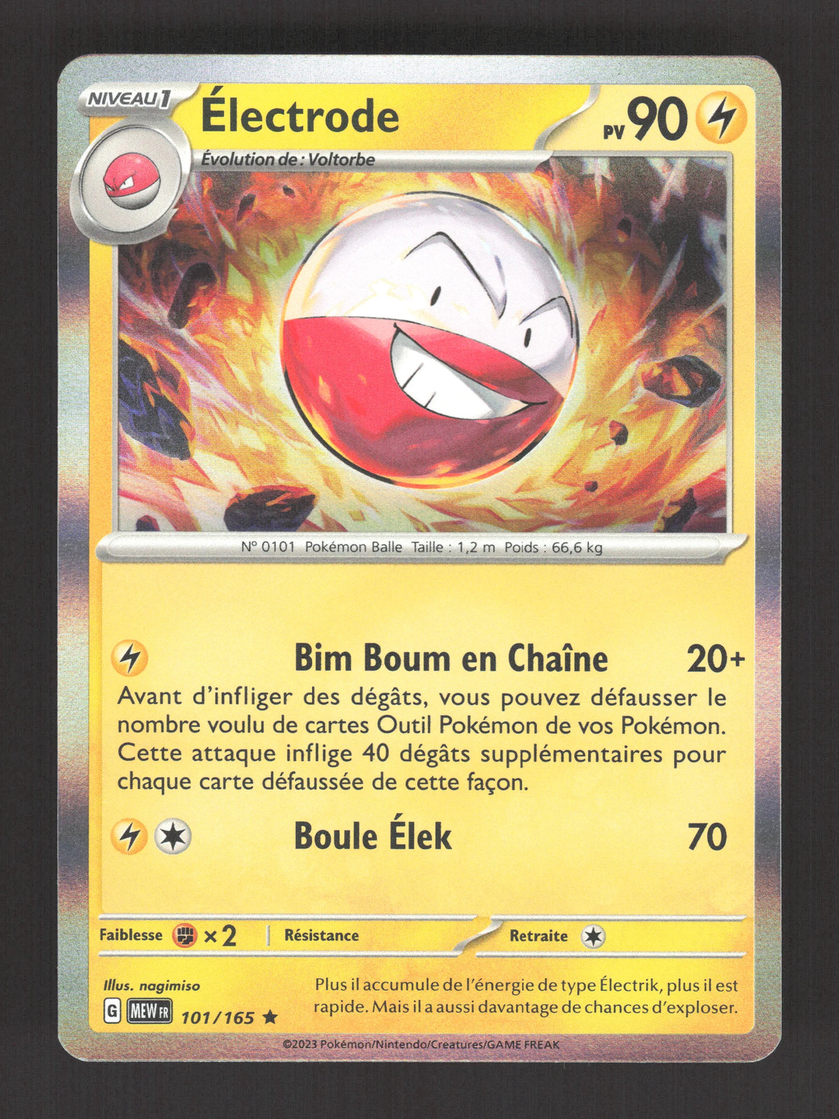 101/165 Electrode HOLO - 151