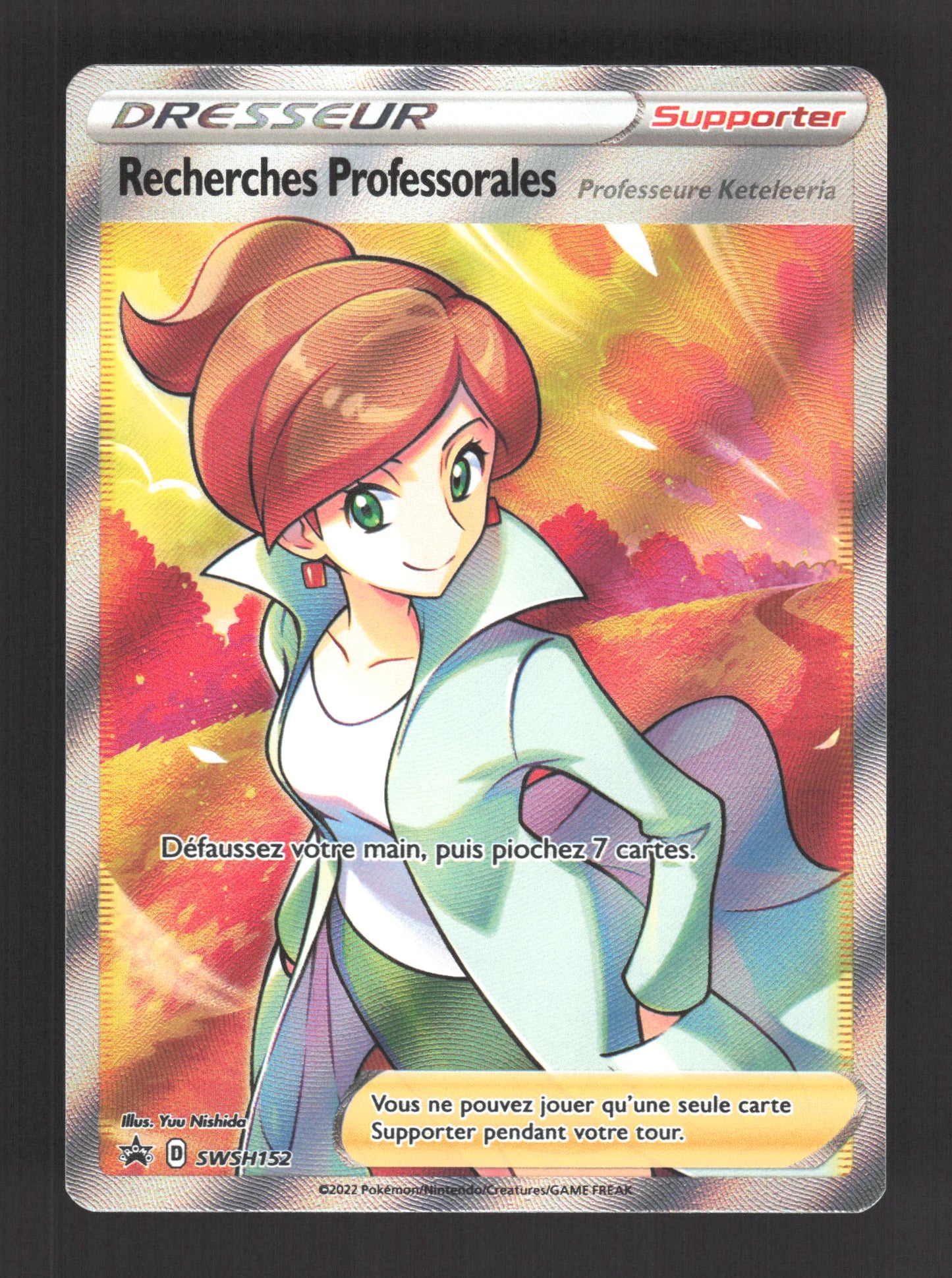 SWSH152 Recherches Professorales DRESSEUR - Promo SWSH