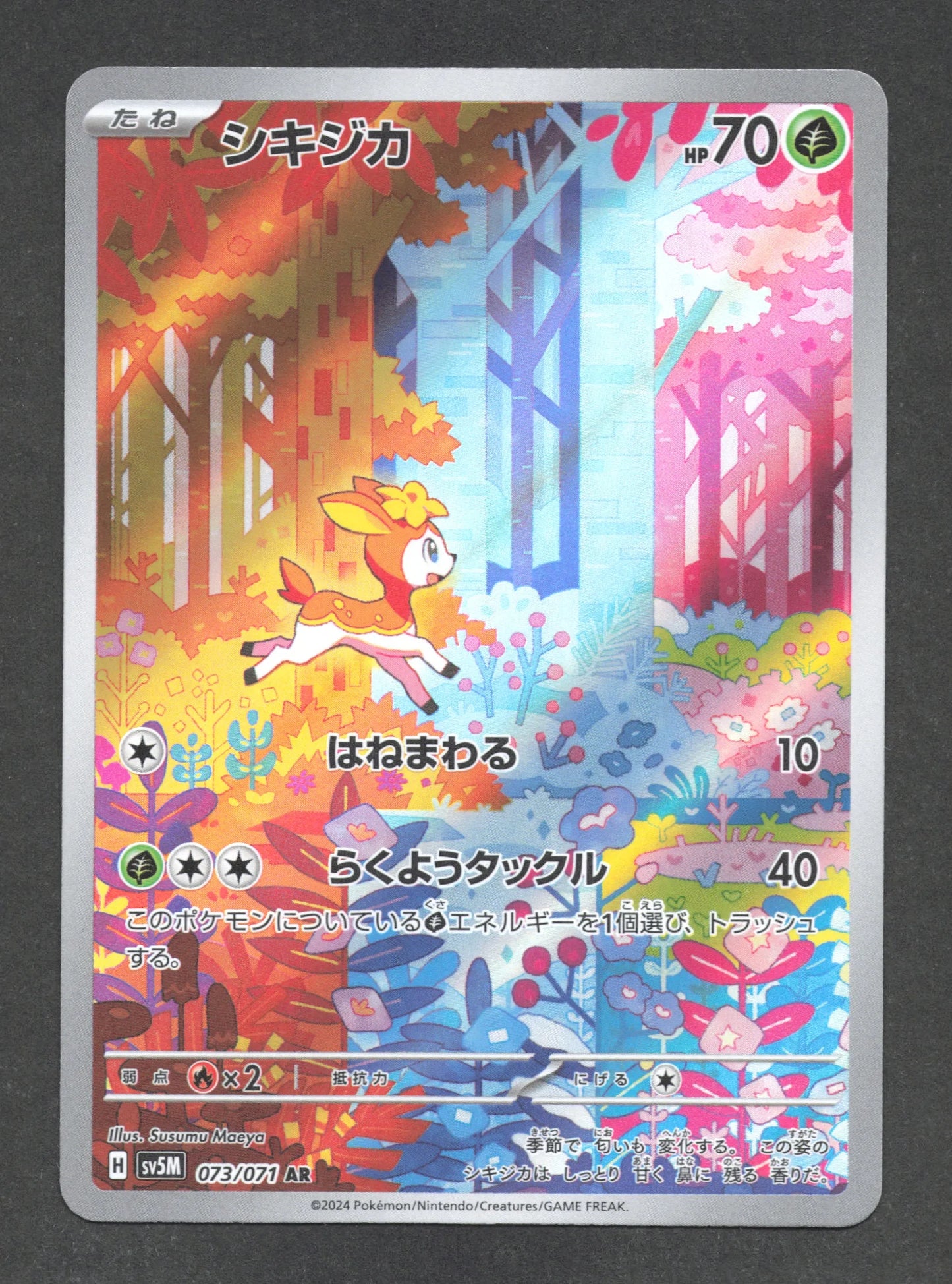 073/071 Vivaldaim AR JP - Cyber Judge