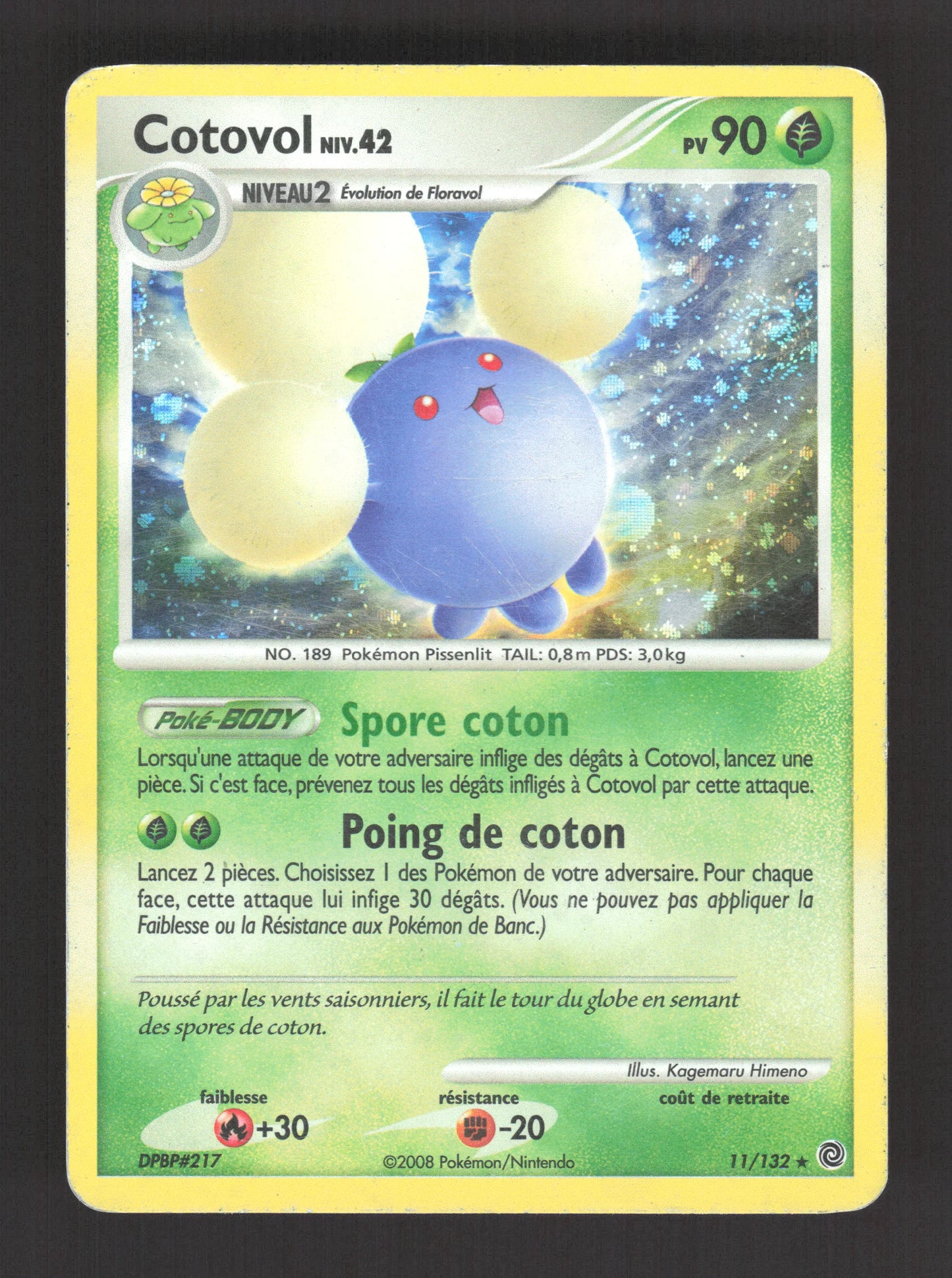 11/132 Cotovol HOLO - Merveilles Secrètes