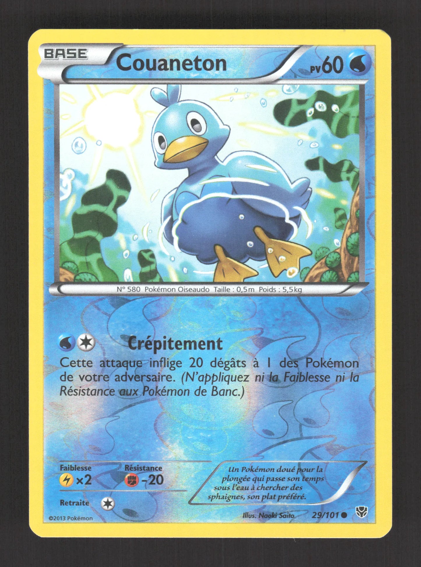 29/101 Couaneton REVERSE - Explosion Plasma
