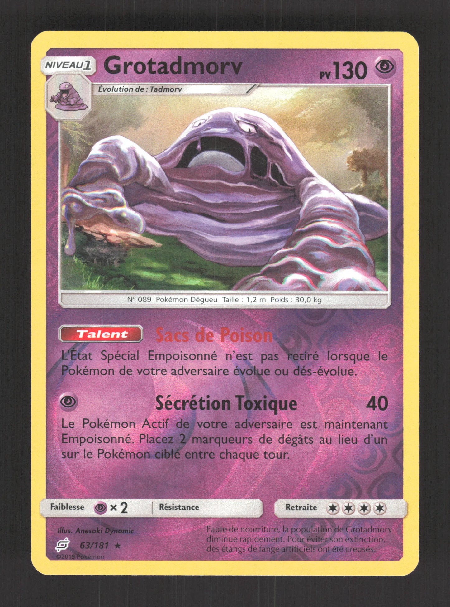 63/181 Grotadmorv REVERSE - Duo de Choc
