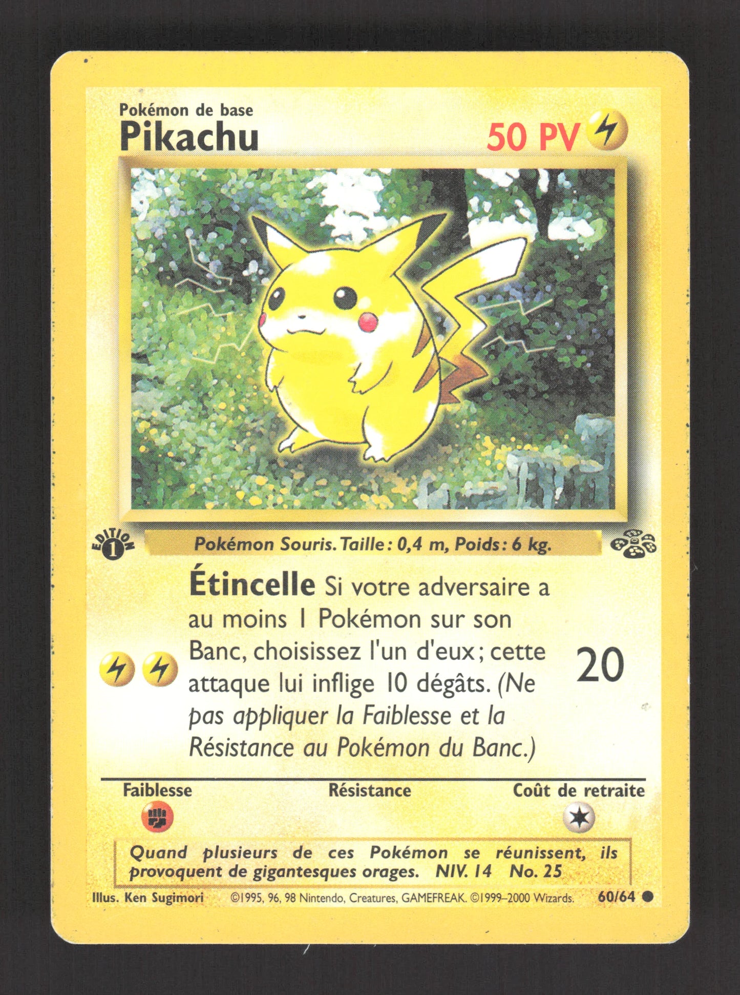 60/64 Pikachu CO ED1 - Jungle