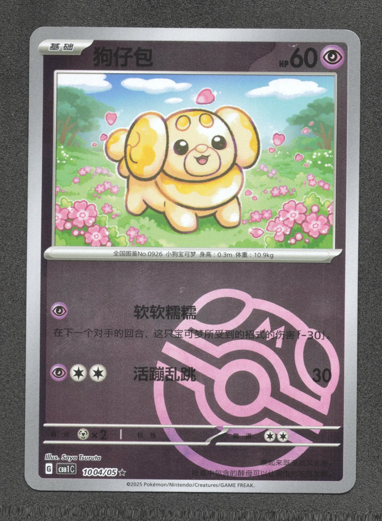 1004/05 Patachiot MASTERBALL CN - Chinois
