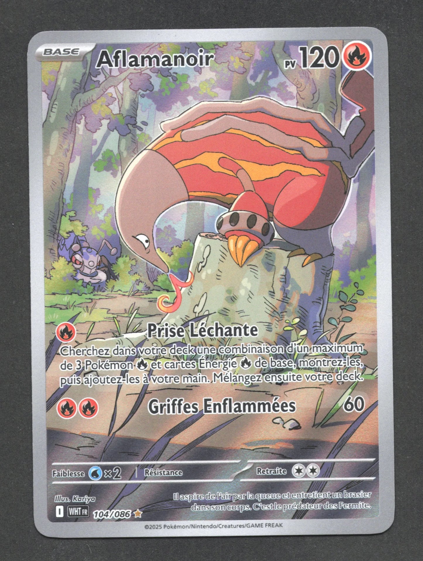 104/086 Aflamanoir AR - Flamme Blanche