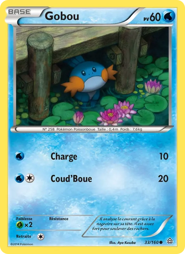 33/160 Gobou REVERSE - Primo-Choc