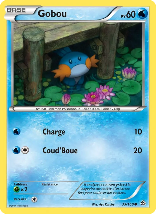 33/160 Gobou REVERSE - Primo-Choc