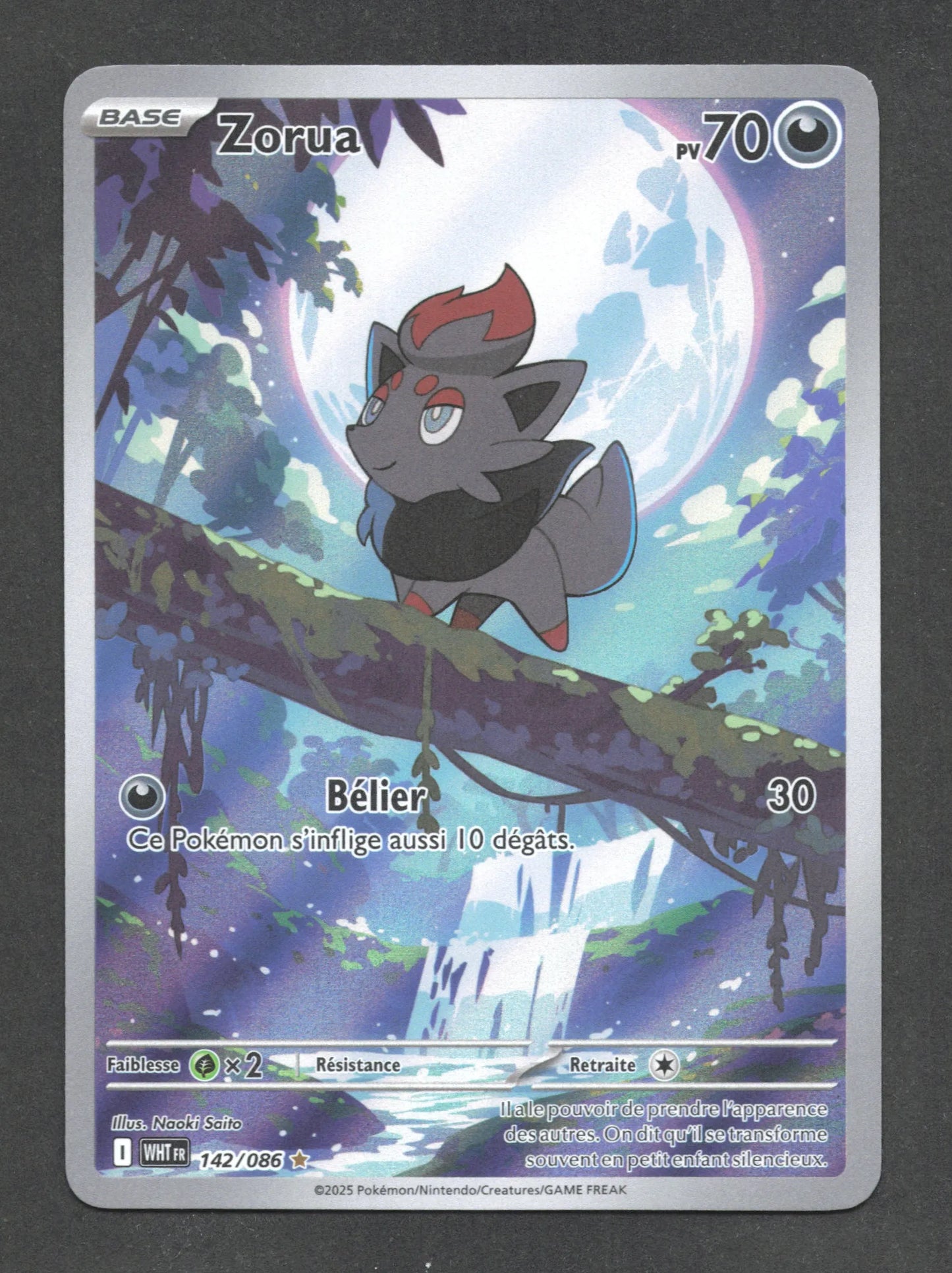 142/086 Zorua AR - Flamme Blanche