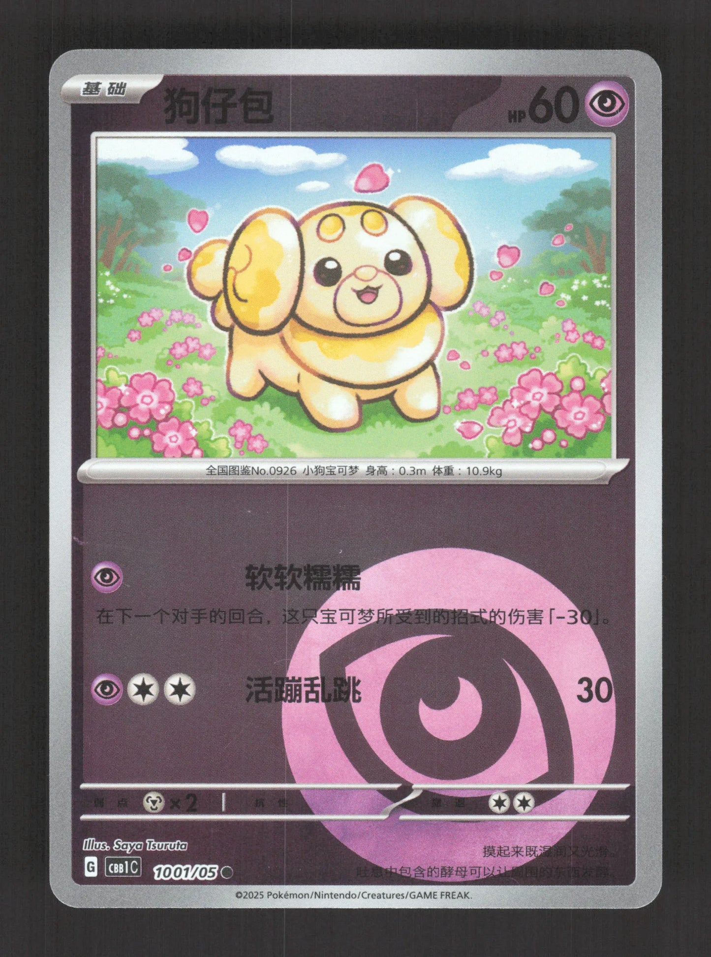 1001/05 Patachiot REVERSE ENERGIE CN - Chinois