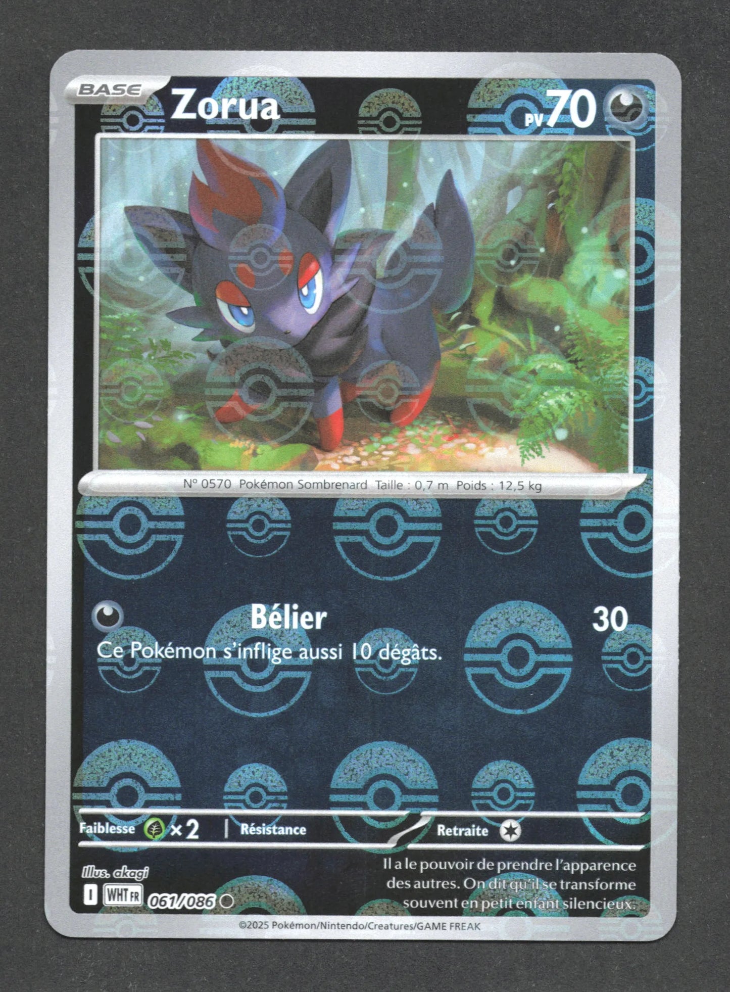061/086 Zorua POKEBALL - Flamme Blanche - Pokeball